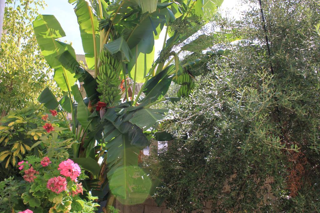 Villa Mucho Saranda Kültér fotó