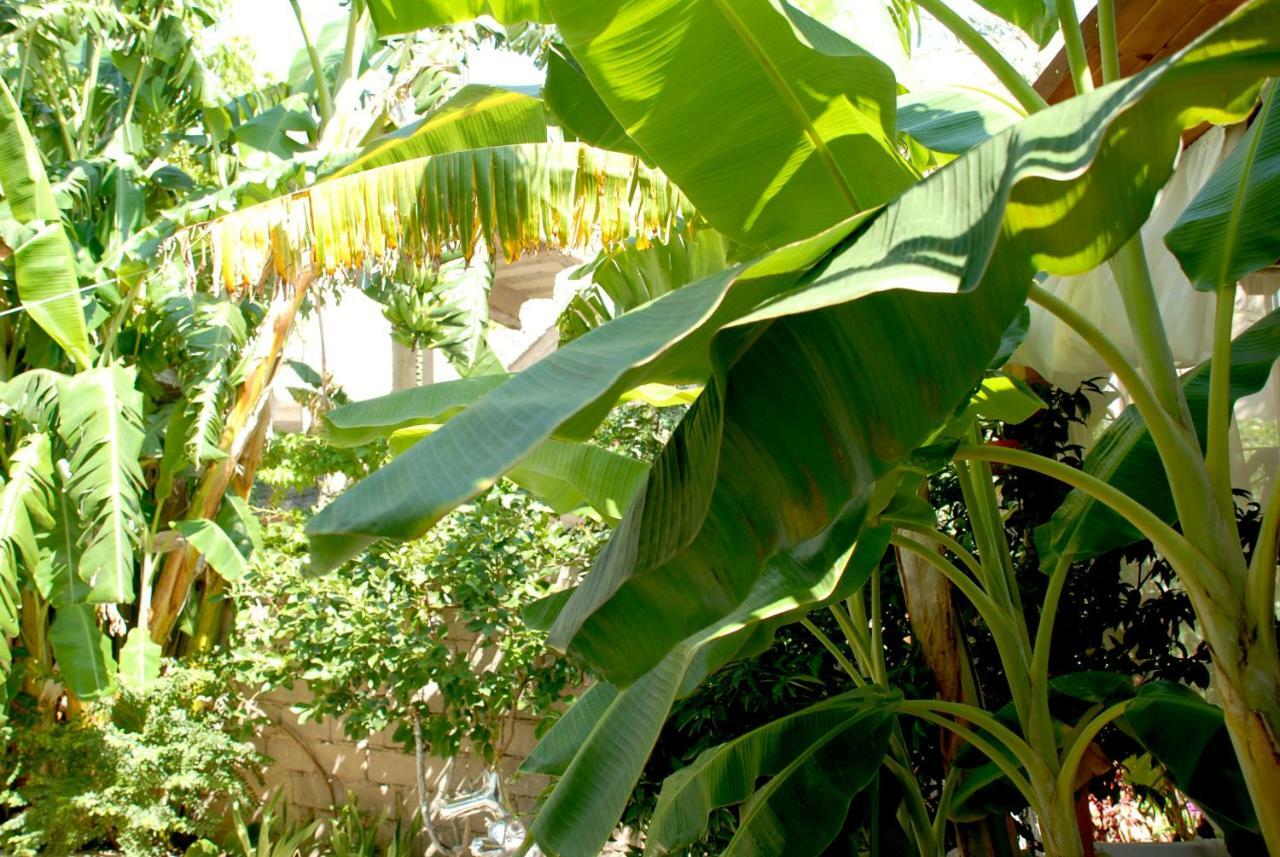 Villa Mucho Saranda Kültér fotó